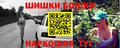 гидра Кингисепп