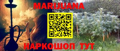 гидра Кингисепп