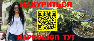 гидра Кингисепп