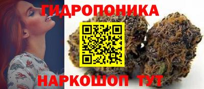 хмурый Кимры