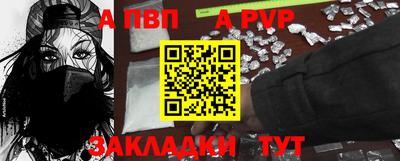 гидра Кингисепп