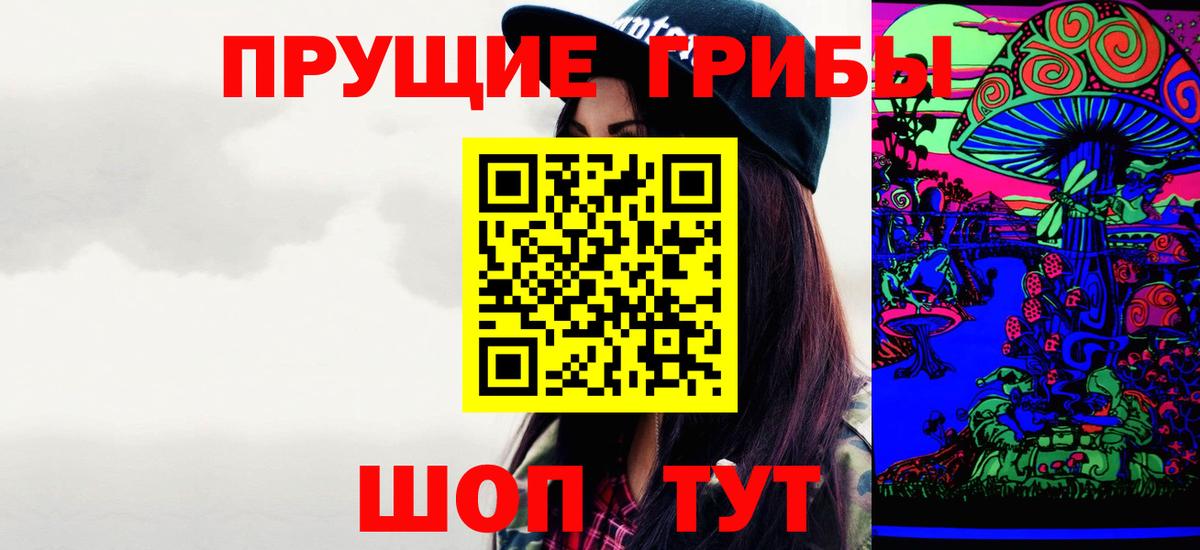 Псилоцибиновые грибы Cubensis  Псилоцибиновые грибы Cubensis  Химки  Вход с VPN 